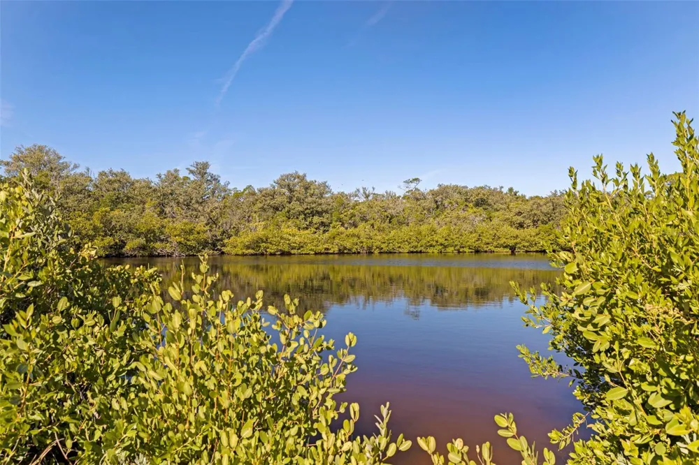 2000 BAYVIEW DRIVE Tierra Verde, FL 33715