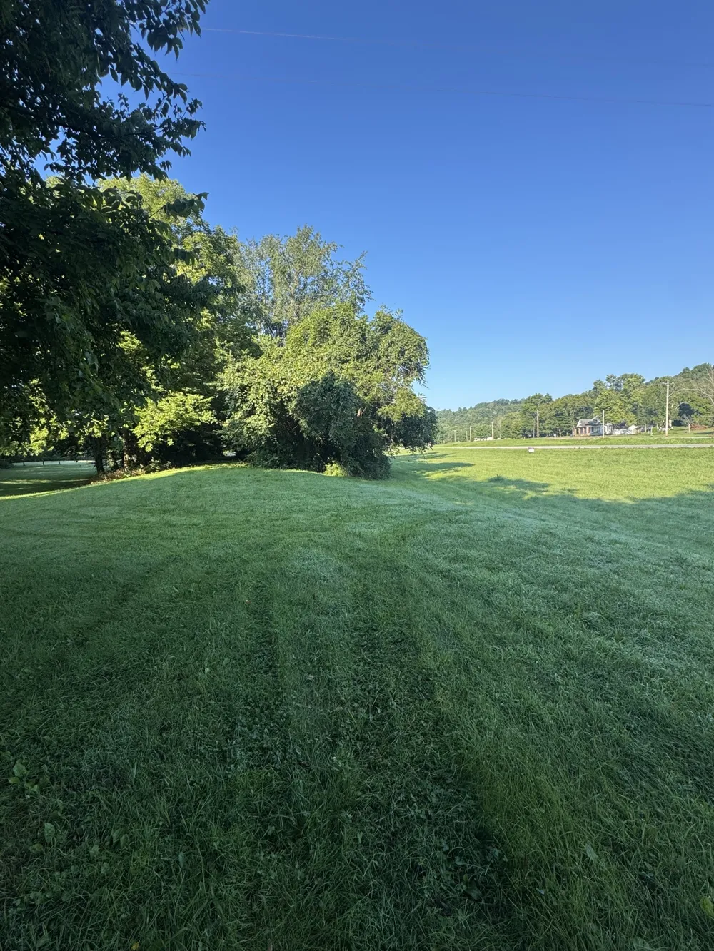 3992 Hwy 31E Bethpage, TN 37022