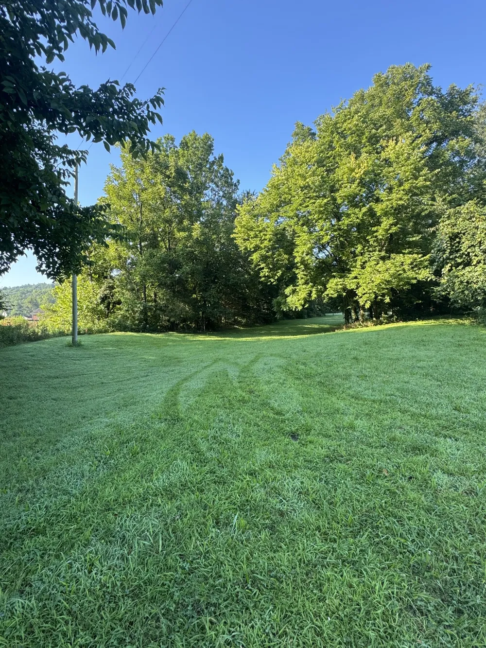 3992 Hwy 31E Bethpage, TN 37022