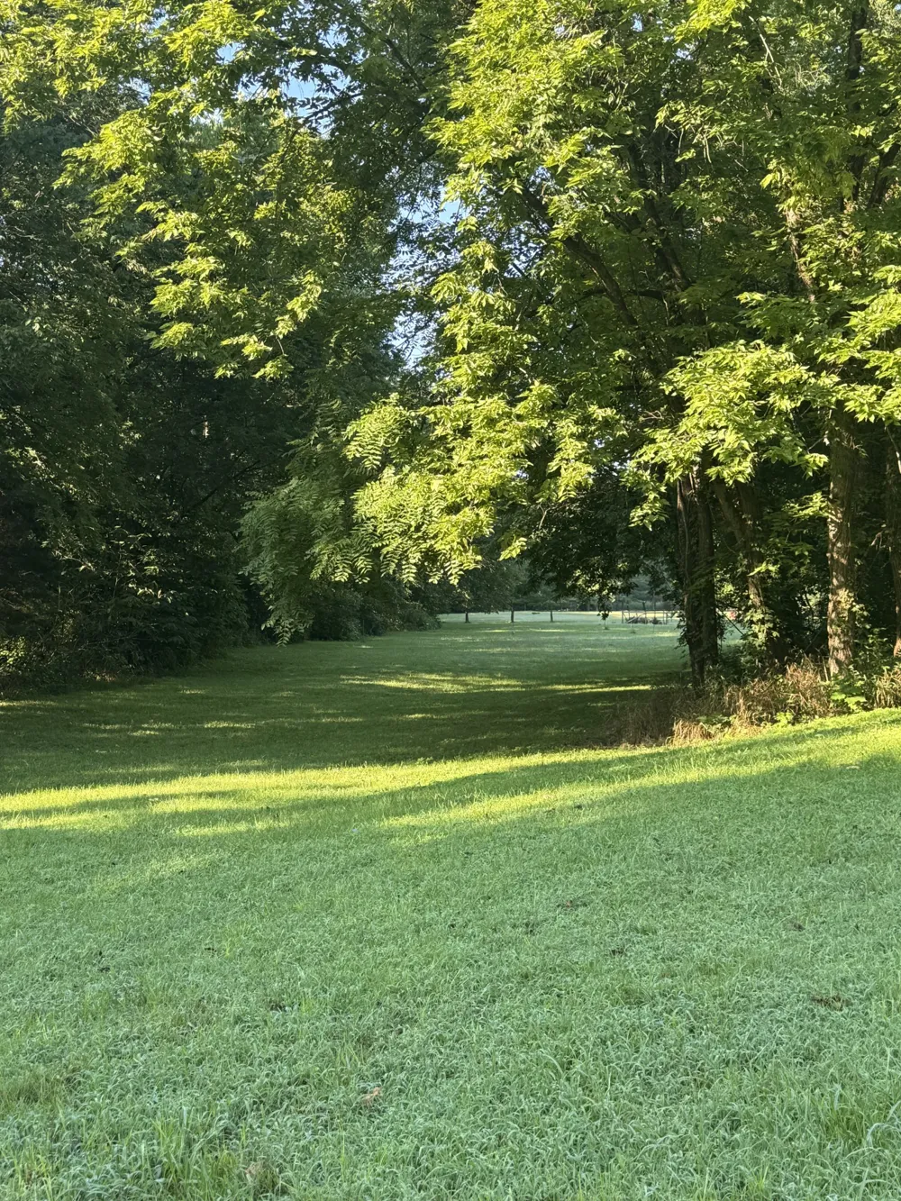 3992 Hwy 31E Bethpage, TN 37022