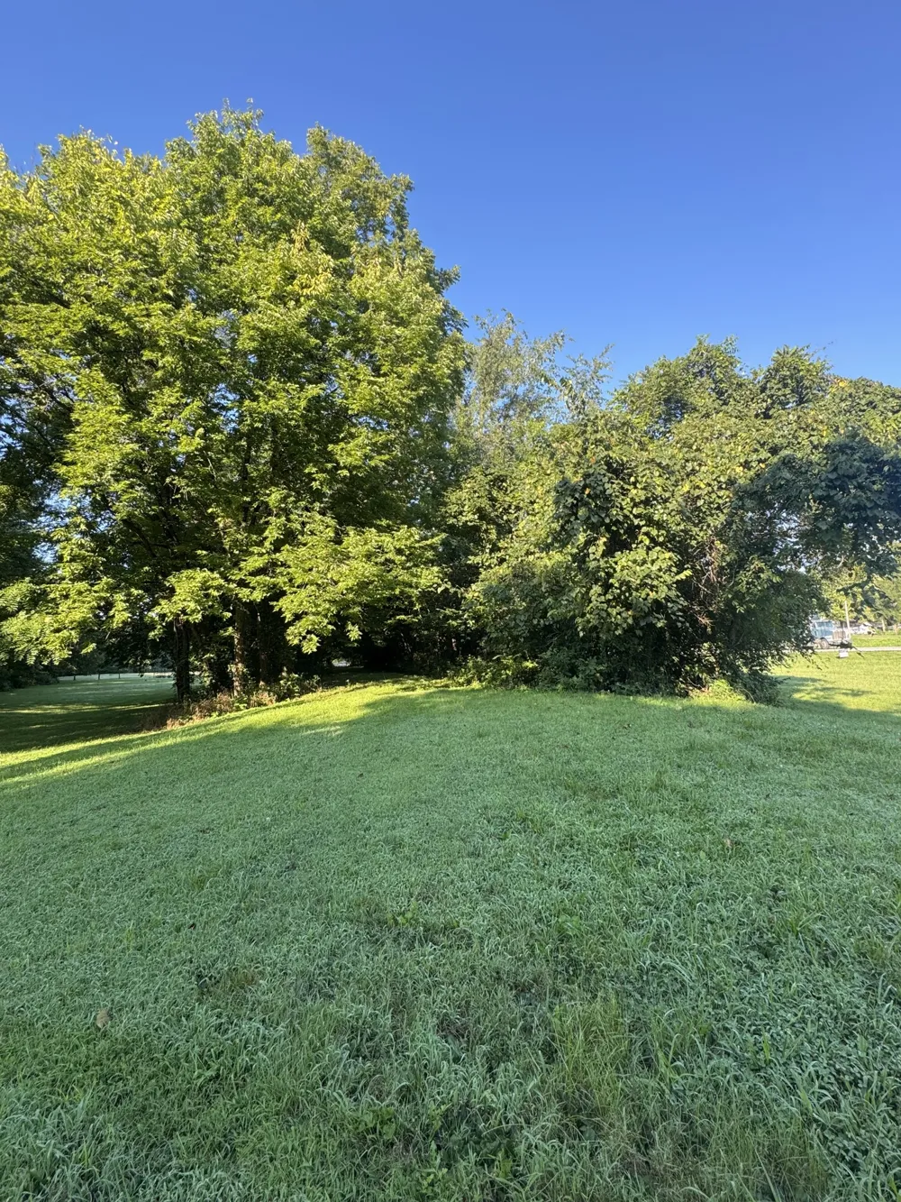 3992 Hwy 31E Bethpage, TN 37022