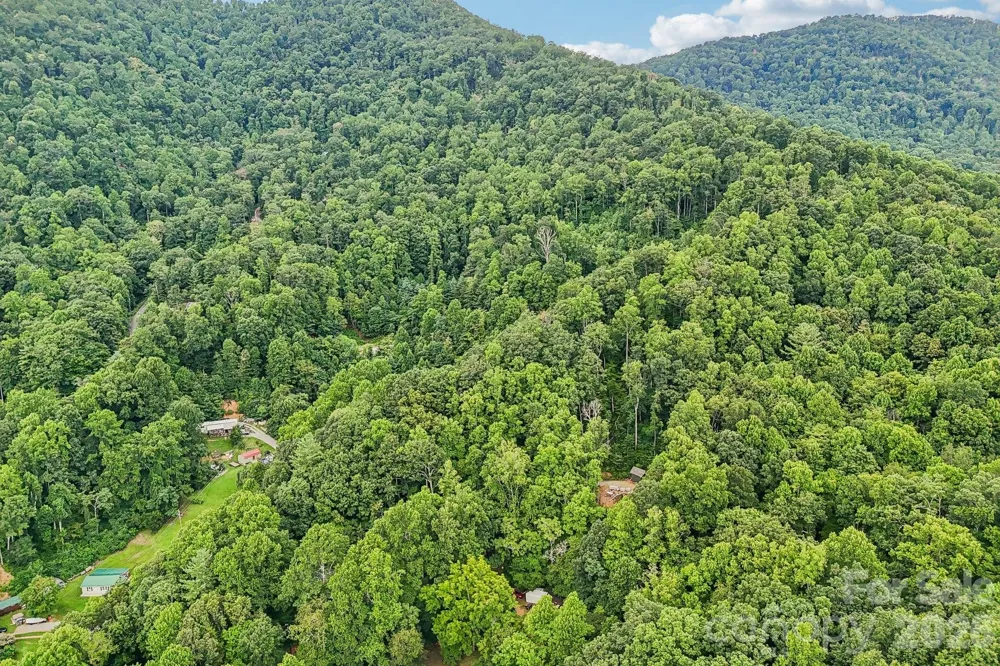 25 Viola Lane Swannanoa, NC 28778