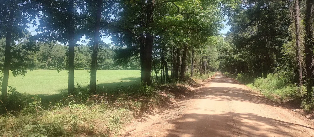 381 County Road 4688 Tenaha, TX 75974