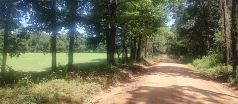 381 County Road 4688