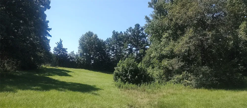 381 County Road 4688 Tenaha, TX 75974