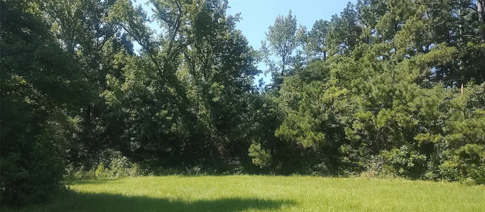 381 County Road 4688 Tenaha, TX 75974
