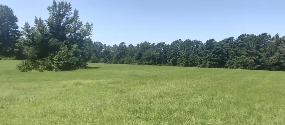 381 County Road 4688 Tenaha, TX 75974