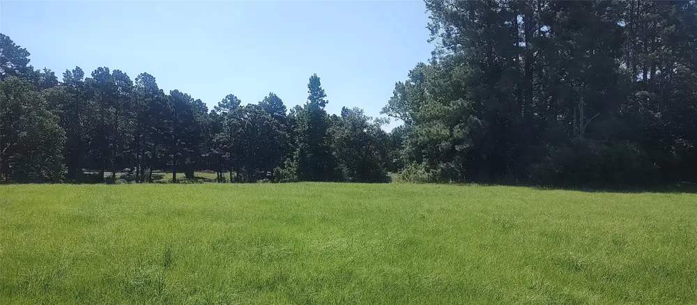 381 County Road 4688 Tenaha, TX 75974