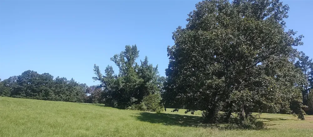 381 County Road 4688 Tenaha, TX 75974