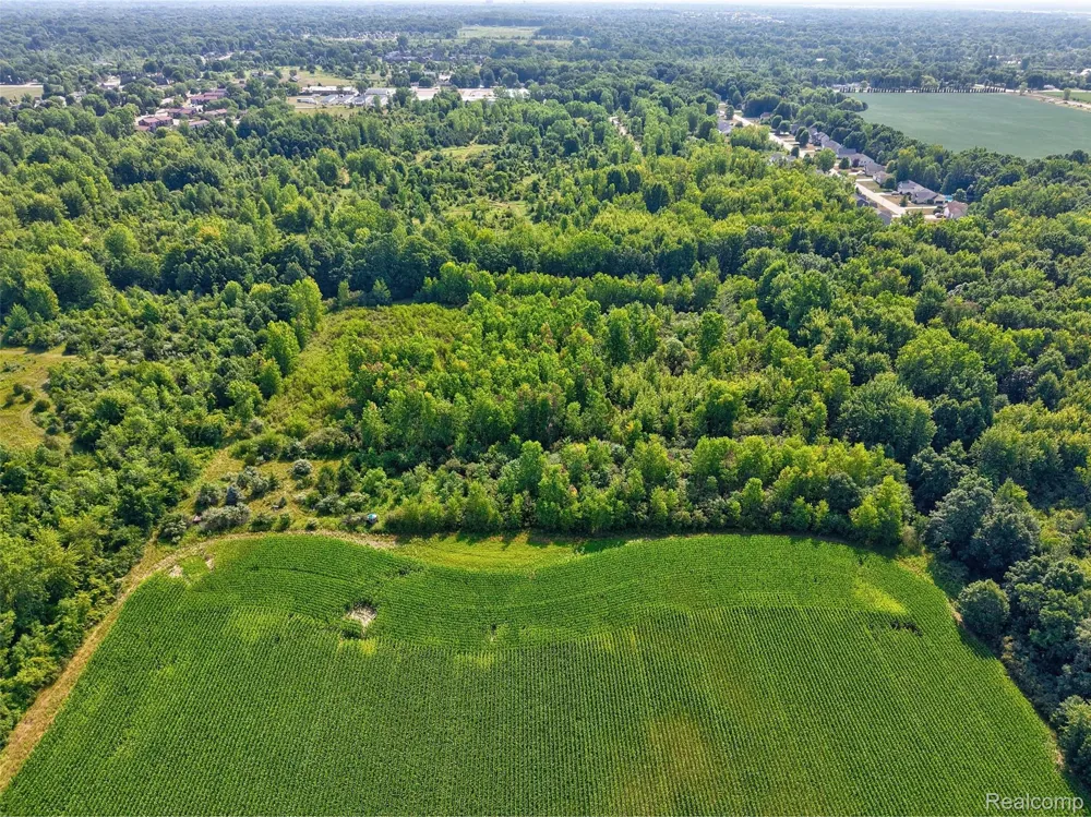 1175 S Morrish Road Clayton Charter Township, MI 48532