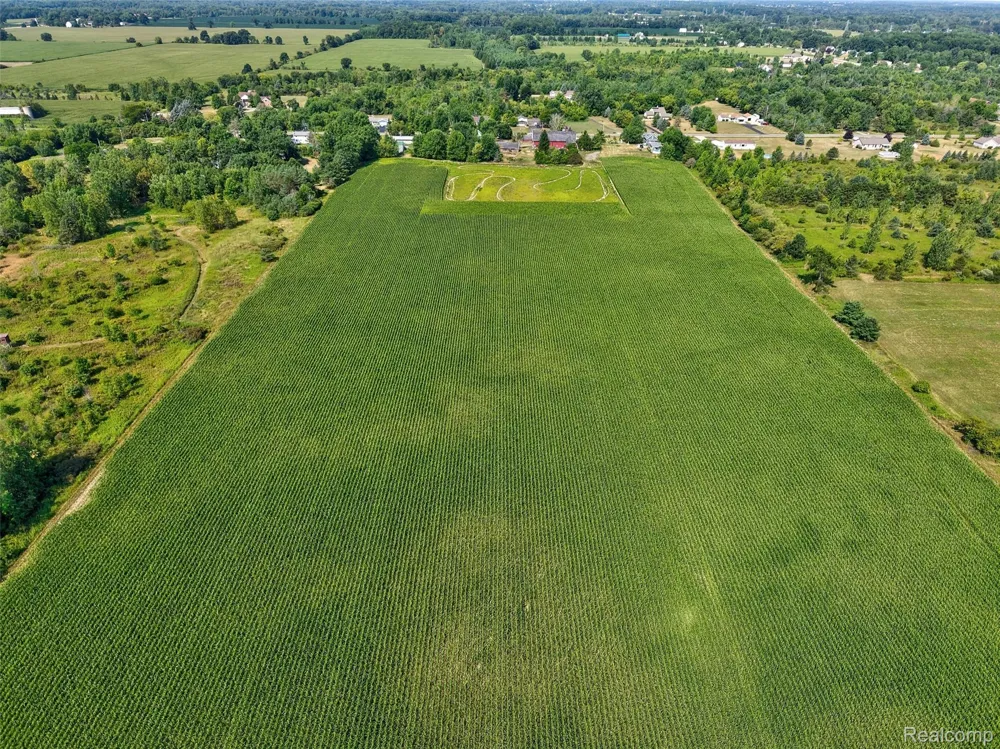 1175 S Morrish Road Clayton Charter Township, MI 48532