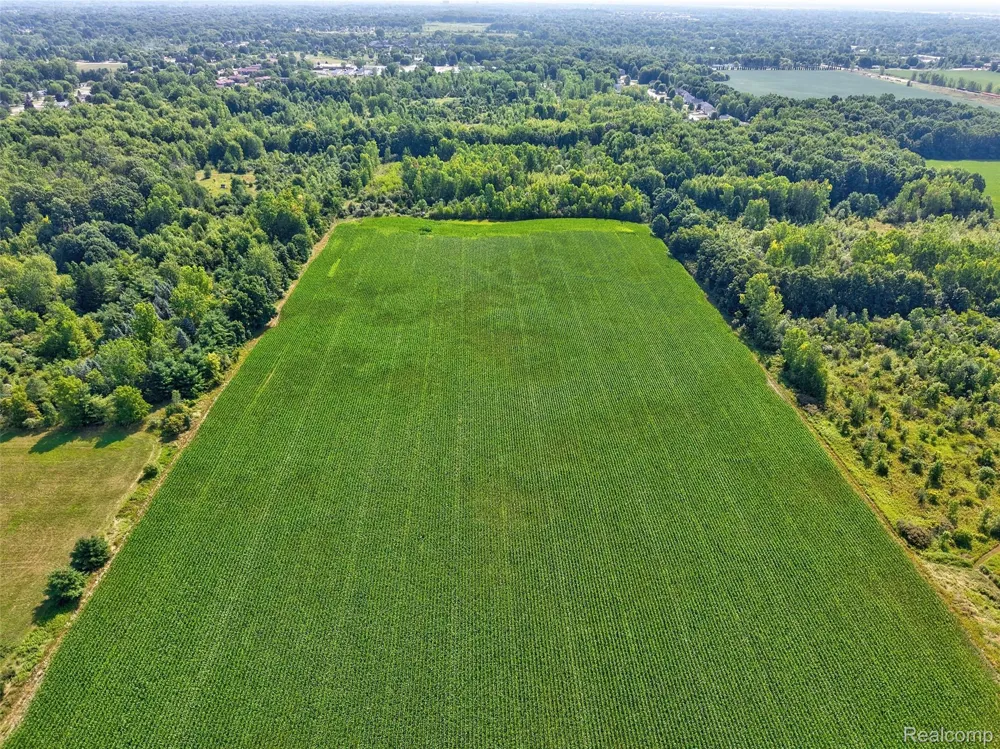 1175 S Morrish Road Clayton Charter Township, MI 48532