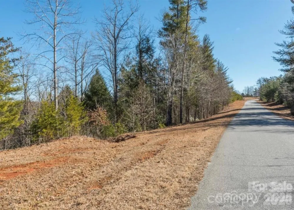 35-12 Sycamore Drive #35-12 Nebo, NC 28761
