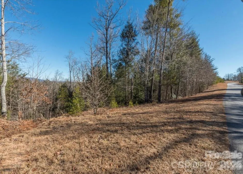 35-12 Sycamore Drive #35-12 Nebo, NC 28761