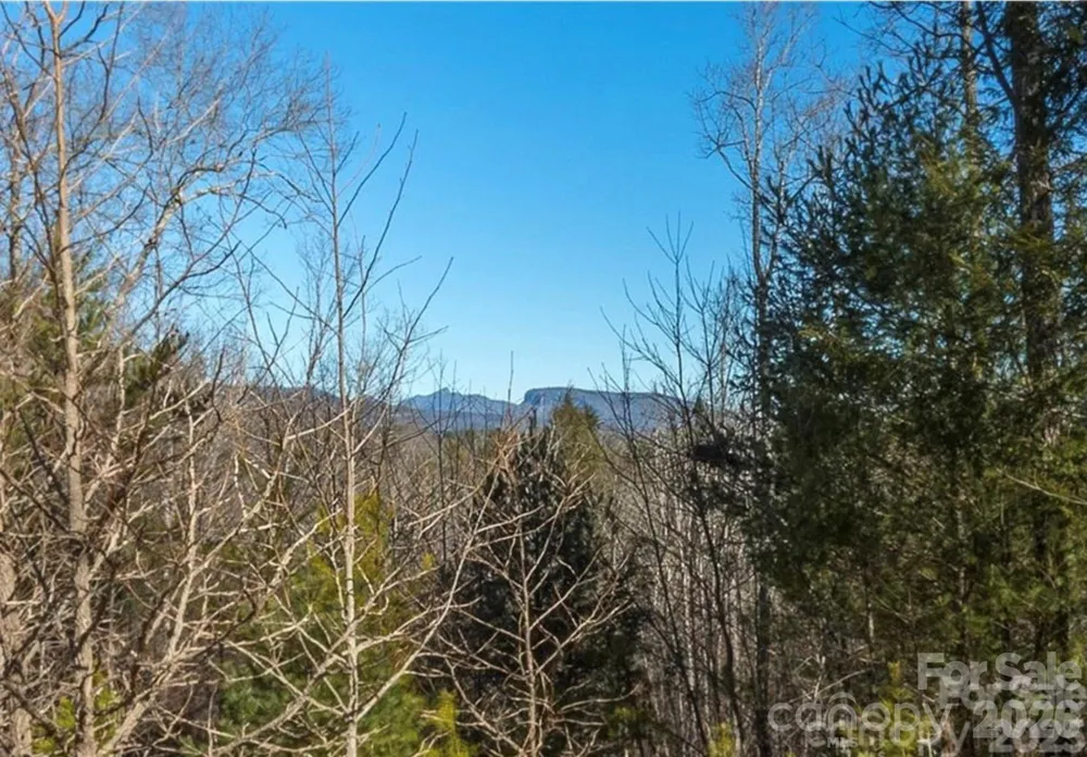 35-12 Sycamore Drive #35-12 Nebo, NC 28761