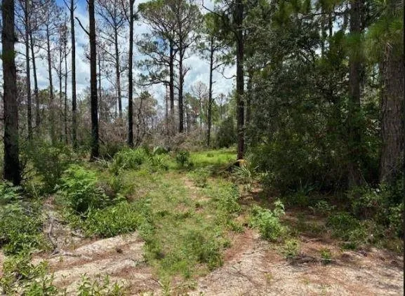 328 Claverton Drive Lake Placid, FL 33852