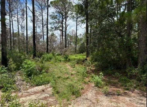 328 Claverton Drive
