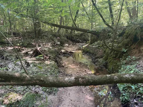 Old Calhoun Falls Road
