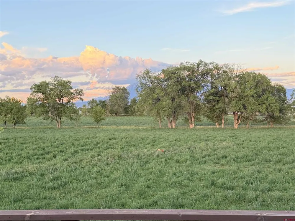 31061 J ROAD Hotchkiss, CO 81419