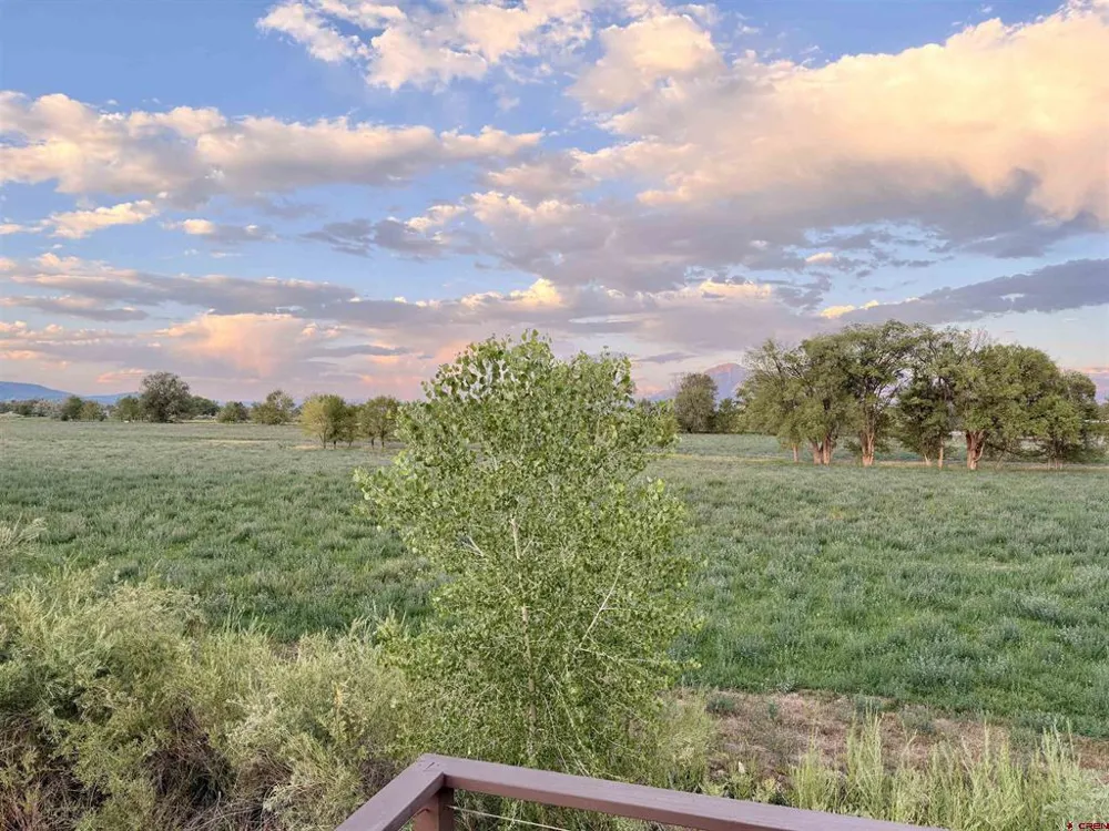 31061 J ROAD Hotchkiss, CO 81419