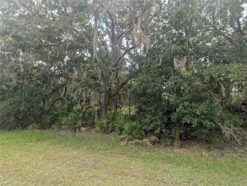 GAILLARDIA DRIVE Indian Lake Estates, FL 33855