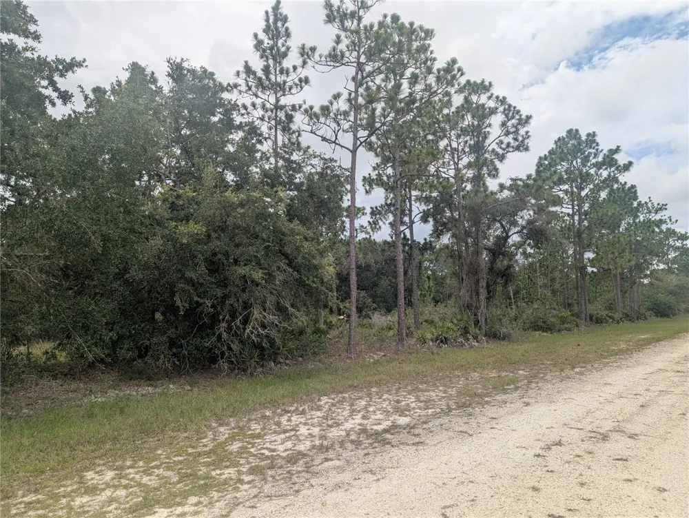 GAILLARDIA DRIVE Indian Lake Estates, FL 33855