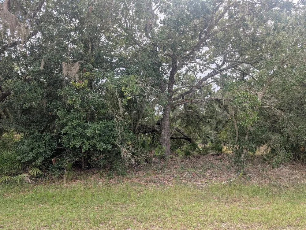 GAILLARDIA DRIVE Indian Lake Estates, FL 33855