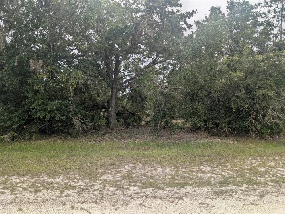 GAILLARDIA DRIVE Indian Lake Estates, FL 33855