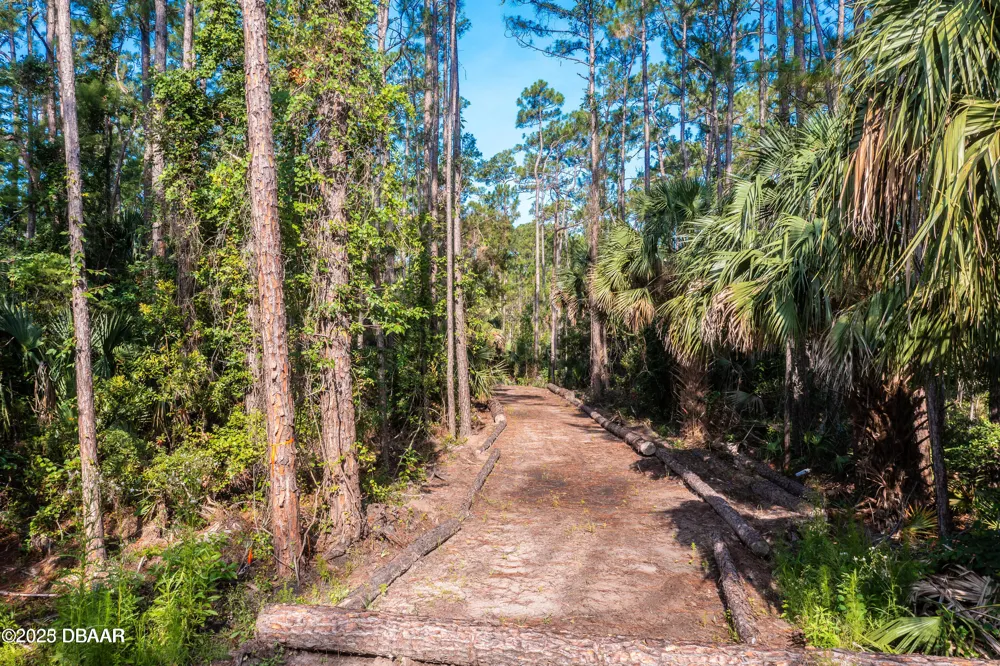 7 Remington Road Ormond Beach, FL 32174
