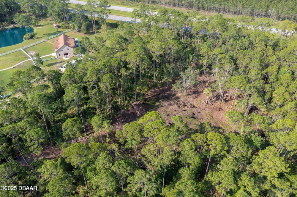 7 Remington Road Ormond Beach, FL 32174