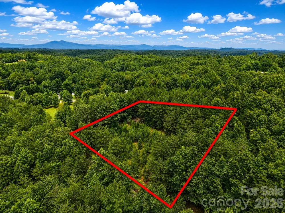 TBD Vista Drive Nebo, NC 28761