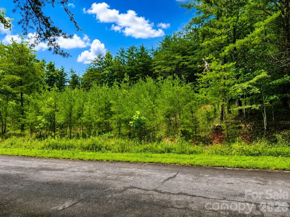 TBD Vista Drive Nebo, NC 28761