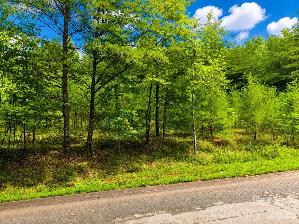 TBD Vista Drive Nebo, NC 28761