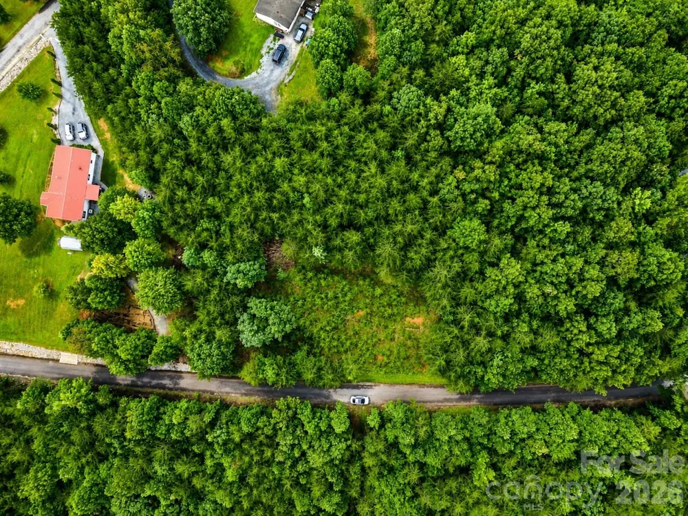 TBD Vista Drive Nebo, NC 28761
