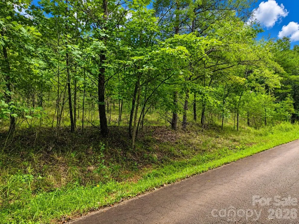 TBD Vista Drive Nebo, NC 28761