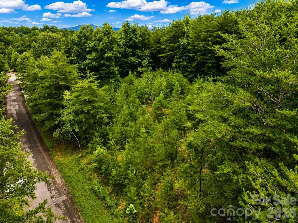 TBD Vista Drive Nebo, NC 28761
