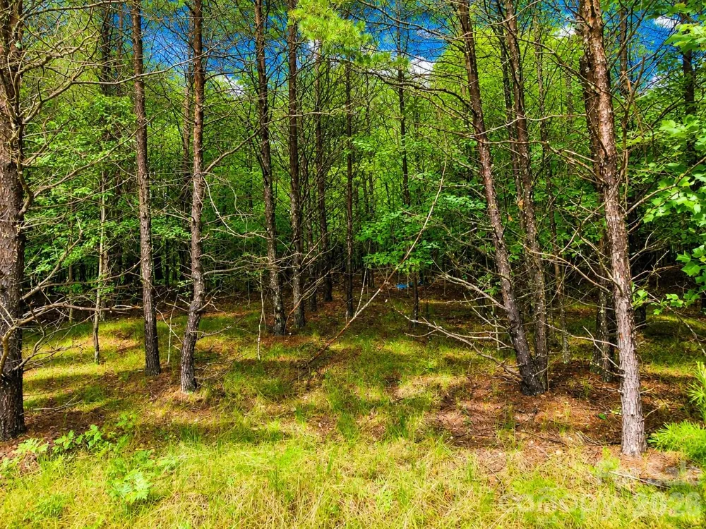 TBD Vista Drive Nebo, NC 28761