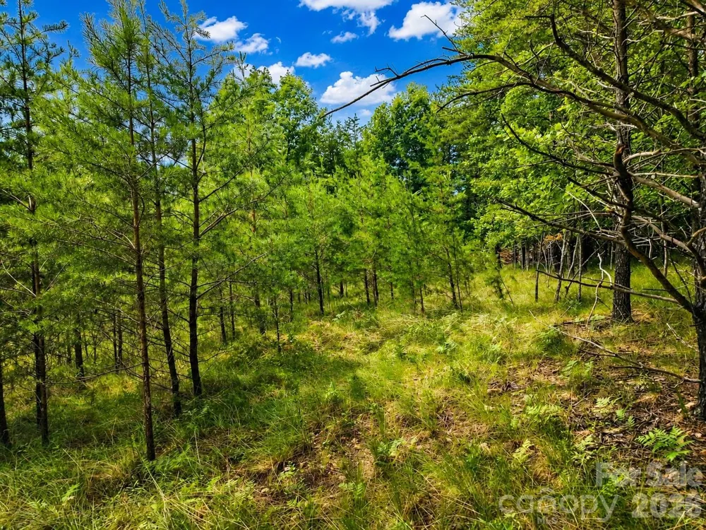 TBD Vista Drive Nebo, NC 28761