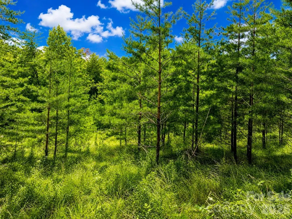 TBD Vista Drive Nebo, NC 28761