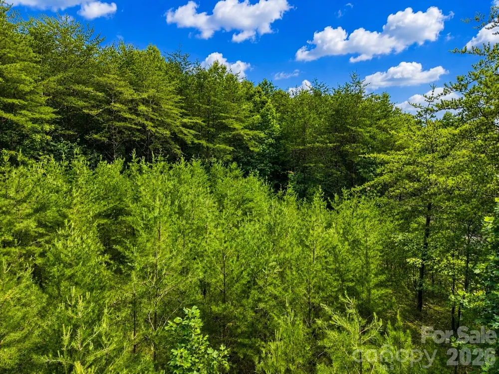 TBD Vista Drive Nebo, NC 28761