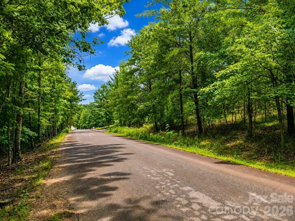 TBD Vista Drive Nebo, NC 28761