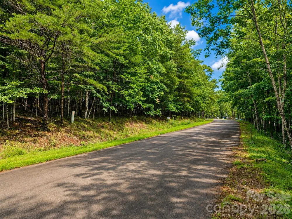 TBD Vista Drive Nebo, NC 28761