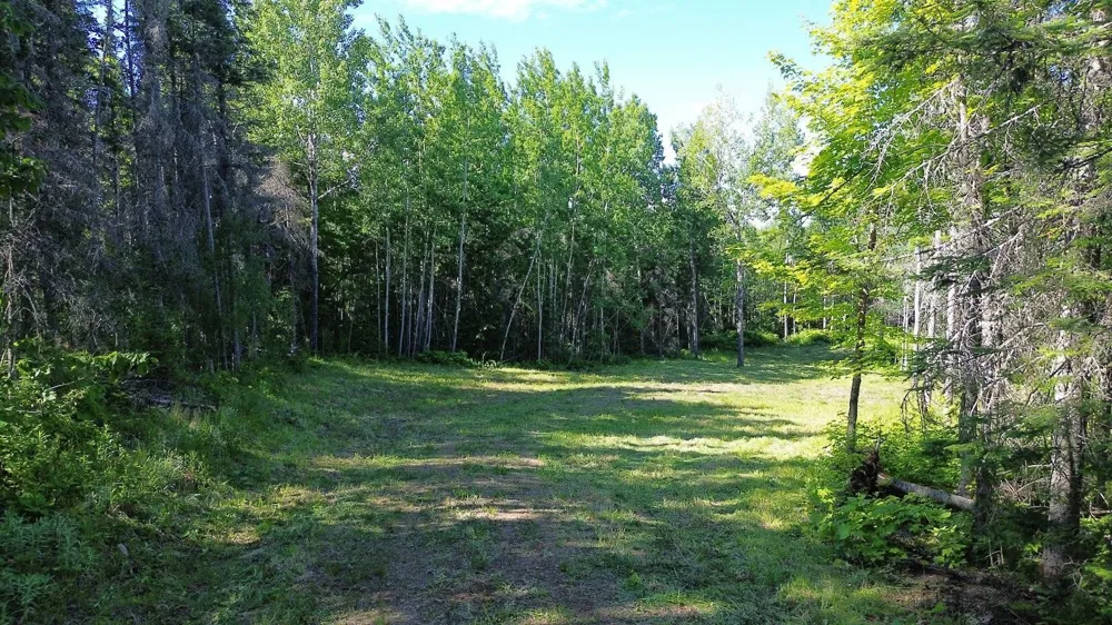 12XX Reeves Road Two Harbors, MN 55616