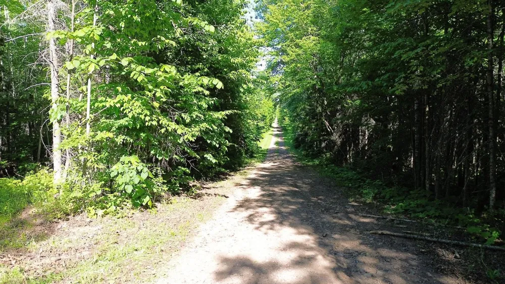 12XX Reeves Road Two Harbors, MN 55616