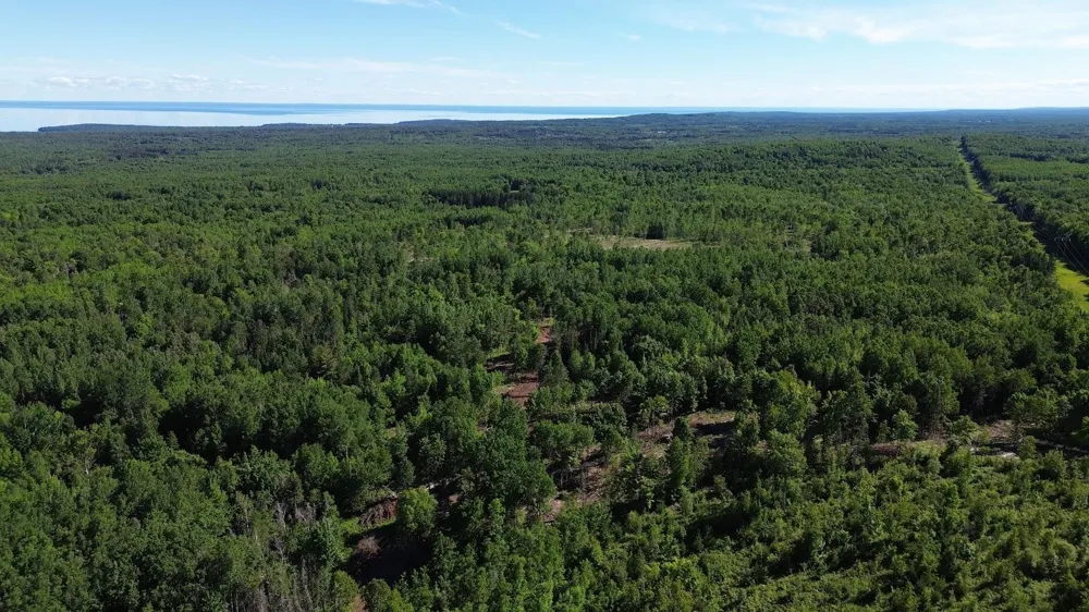 12XX Reeves Road Two Harbors, MN 55616