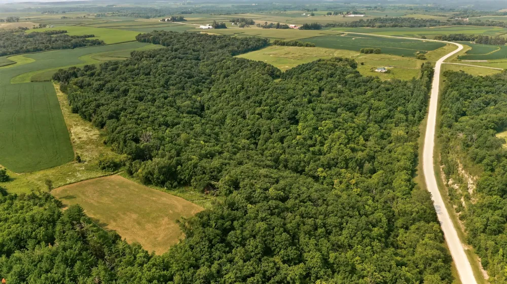 27714 County 25 S Peterson, MN 55962