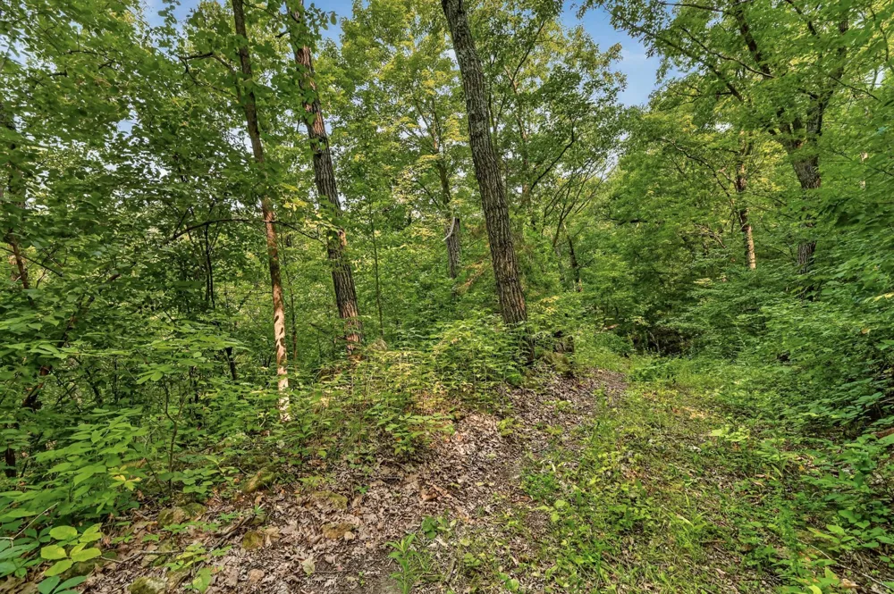 27714 County 25 S Peterson, MN 55962