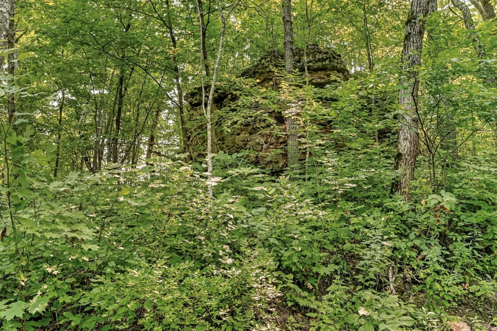 27714 County 25 S Peterson, MN 55962