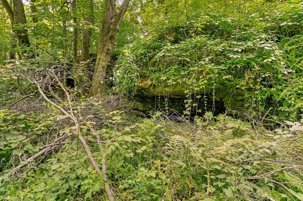 27714 County 25 S Peterson, MN 55962