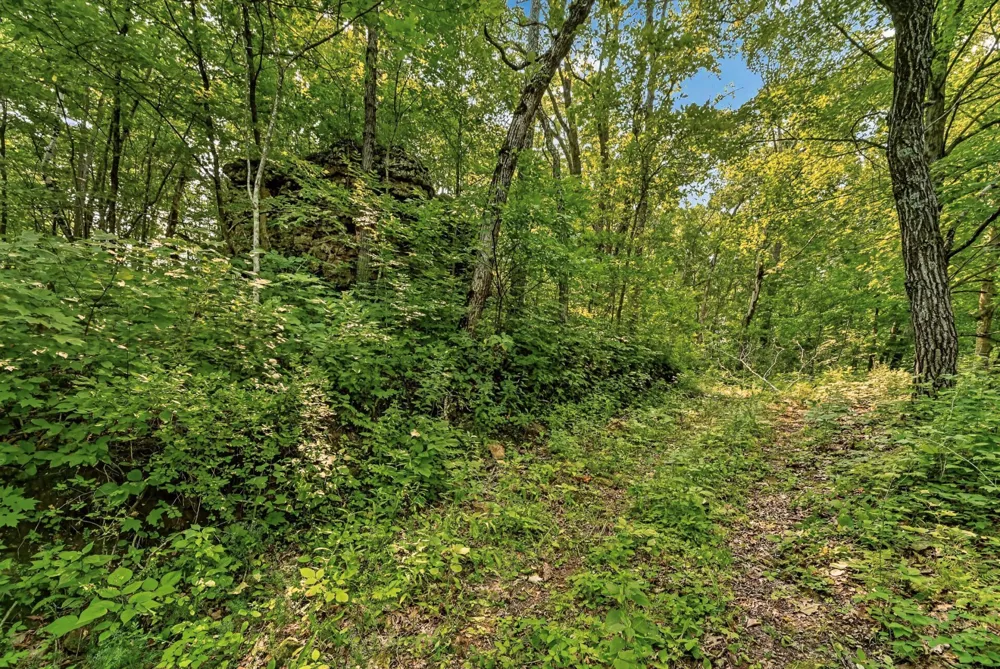 27714 County 25 S Peterson, MN 55962
